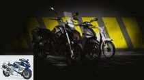 125cc travel enduro Motron X-Nord + models 2021