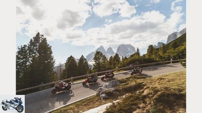 Two-cylinder naked bikes in the 2014 Alpen Masters