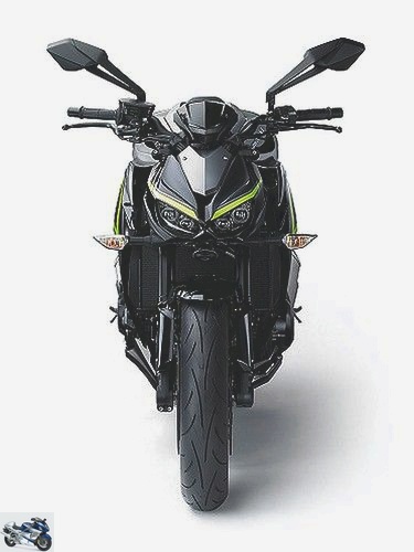 Kawasaki Z 1000 R Performance 2020