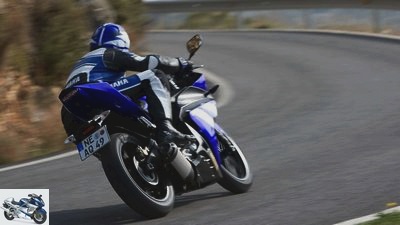 Yamaha YZF-R 125 in the used purchase check