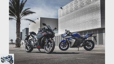 Yamaha YZF-R3 in the driving report