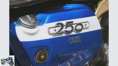 On the move: 250cc from Kawasaki, Suzuki and Yamaha