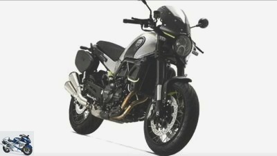 Benelli Leoncino 500 Sport: two-cylinder as a cafe racer