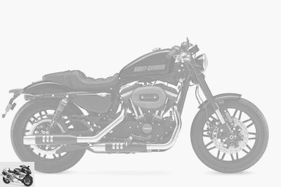 Harley-Davidson XL 1200 CX SPORTSTER ROADSTER 2019 technical