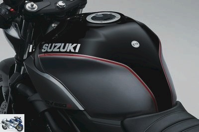Suzuki SV 650 X 2019