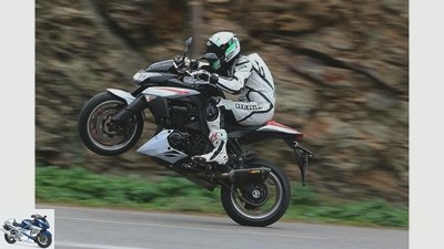 Second-hand advice Kawasaki Z 1000
