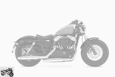 Harley-Davidson XL 1200 SPORTSTER Forty Eight 2010 technique