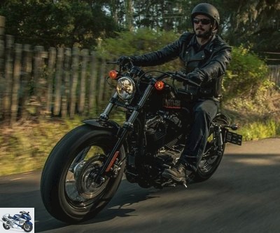 Harley-Davidson XL 1200 SPORTSTER Forty Eight 2013