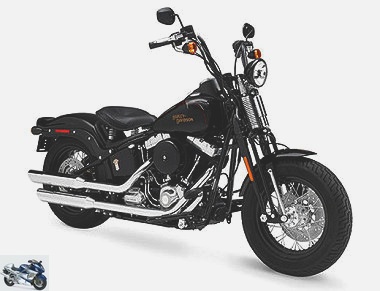 Harley-Davidson FLSTSB 1584 SOFTAIL CROSS BONES 2008