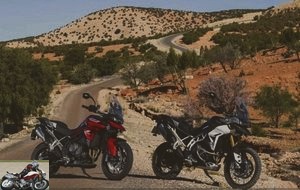 Comparison test of the Triumph Tiger 900 GT Pro and Rally Pro