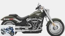 Harley Davidson 2021: more chrome, more colors for everyone