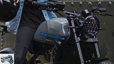 Herald Brute Concept naked bike single cylinder