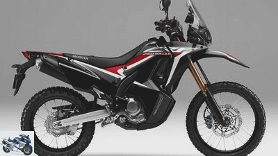 Honda in model year 2020 (all models and prices)
