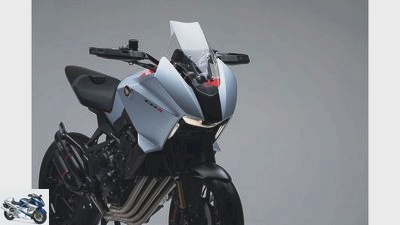 Honda NT 1100: Crossover bike with Africa Twin engine