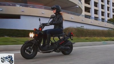 Honda Ruckus in the USA: We knew him as a zoomer