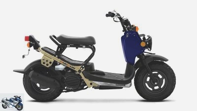 Honda Ruckus in the USA: We knew him as a zoomer