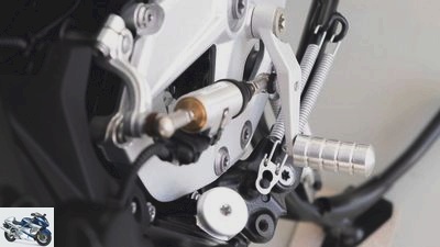 Hornig accessories for BMW F 900 XR and F 900 R