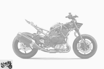 Kawasaki Z H2 2020 technical