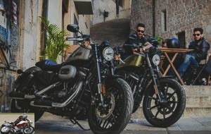 Harley-Davidson Roadster and Forty-Eight