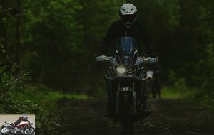 Honda Africa Twin in the forest