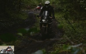 Honda Africa Twin in the woods