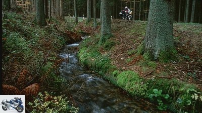 In the Bavarian Forest by motorcycle