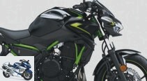 Kawasaki Z 650 2022: New colors for the USA