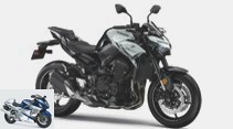 Kawasaki Z900 2022: New colors in the USA