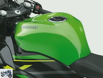 2020 Kawasaki ZX-6 R 636