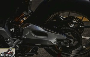 The pivot axis of the swing arm is adjustable in height