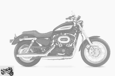 Harley-Davidson XL Sportster 1200 Custom 110th Anniversary 2013 technical