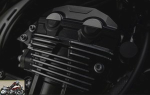 Kawasaki Z900RS cylinder