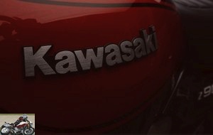 Kawasaki Z900RS fuel tank