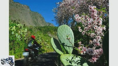 With the motorcycle in the Canaries - on the way on La Palma