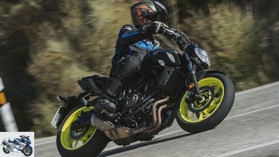 Top 10 Yamaha top sellers in Germany from 2010 to 2019
