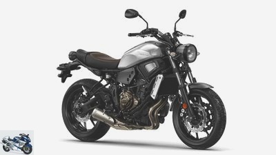 New motorcycle registrations for 2017 as a whole, top 50