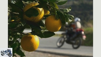 Motorcycle tour Cyprus