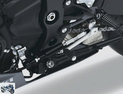 Kawasaki ZX-6 R 636 Performance 2020