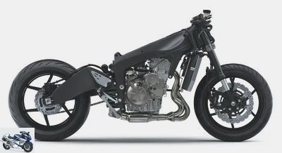 Kawasaki ZX-6 R 636 Performance 2019