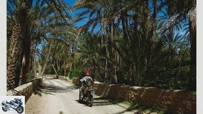 MOTORCYCLE On the Road: Tunisia