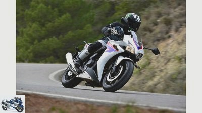 Nine 48 hp motorcycles tested for the A2 driver's license