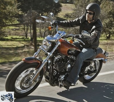 2019 Harley-Davidson XL SPORTSTER 1200 CUSTOM