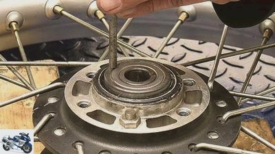 Adviser: change the wheel bearing