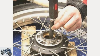 Adviser: change the wheel bearing