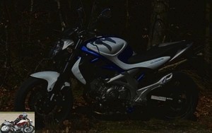 Suzuki Gladius 650 comes out of the woods