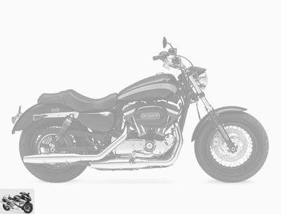 Harley-Davidson XL Sportster 1200 Custom 2020 technical
