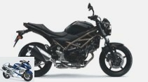 Suzuki SV 650: New colors and V2 with Euro 5
