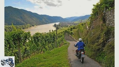 Tour tips: South Styrian Wine Route and Wachau