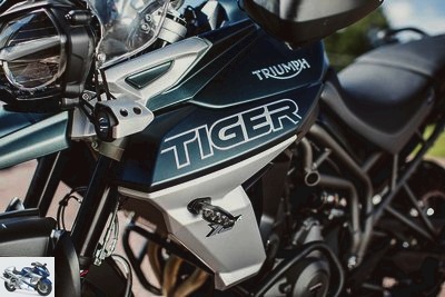 Triumph Tiger 800 XCA 2019
