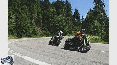 On the go: 1000 curves in the Black Forest